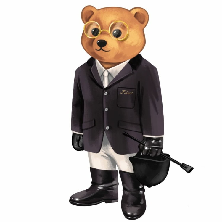 XCV. THE HORSEBACK RIDER